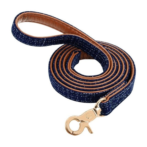 4ft Puppy Small Dog Leash Polka Dot Pet Leash