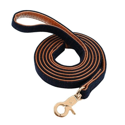 4ft Puppy Small Dog Leash Polka Dot Pet Leash