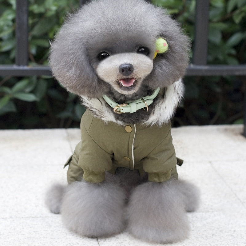 Clothes For Small Dogs Autumn Winter Warm Puppy Pet Dog Coat Jacket