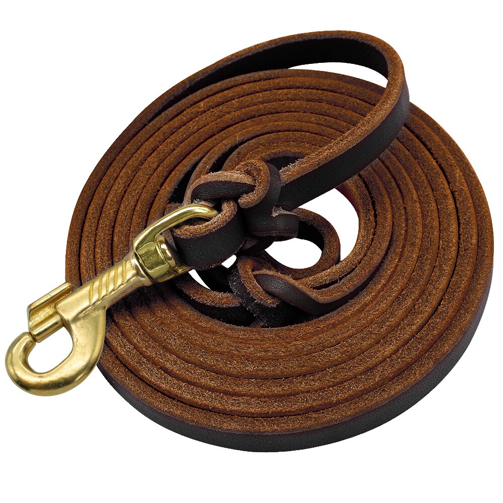 Dog Leash Leather Pet Walking Training Dog Lead