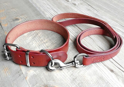 Heavy Duty Plain Leather Pet Dog Collar Leash Set