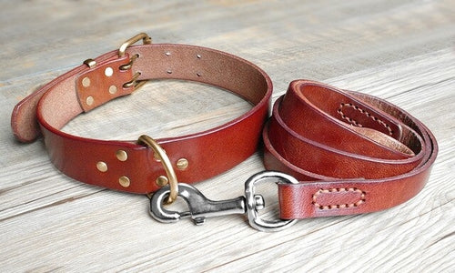 Real Leather Pet Dog Collar Leash Set For Medium