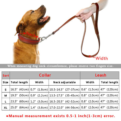 Real Leather Pet Dog Collar Leash Set For Medium