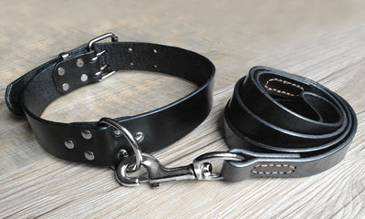 Real Leather Pet Dog Collar Leash Set For Medium