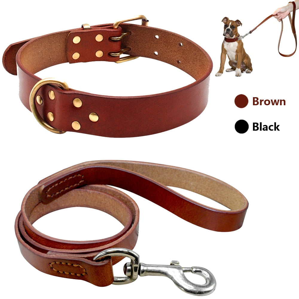 Real Leather Pet Dog Collar Leash Set For Medium