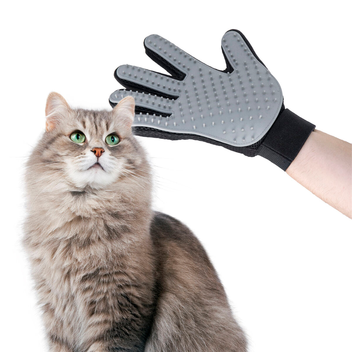 Pet Brush & Massage Glove Relpet InnovaGoods