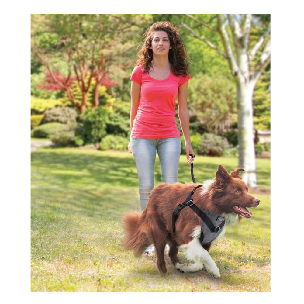 Dog Harness 2 in 1 Combo - Car Travel Rides + Walks - No Pull Leash