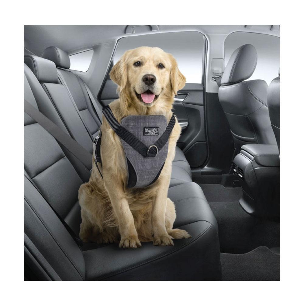 Dog Harness 2 in 1 Combo - Car Travel Rides + Walks - No Pull Leash