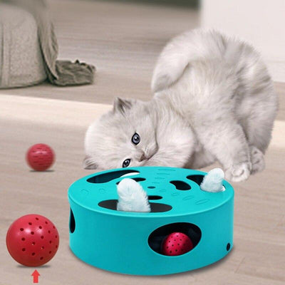 Cat Hunt Toy Chase Mouse USB Charge Interactive Maze Pet Hit Hamster