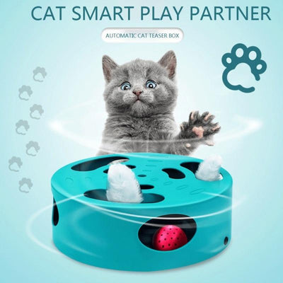 Cat Hunt Toy Chase Mouse USB Charge Interactive Maze Pet Hit Hamster